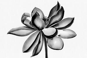 Tablou floare de lotus acuarele alb-negru