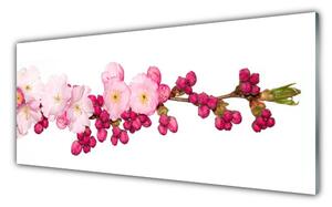 Panou sticla bucatarie Flower Branch Floral roz