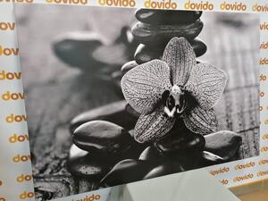 Tablou pietre Zen și orhidee galbenă alb-negru