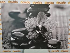 Tablou pietre Zen și orhidee galbenă alb-negru