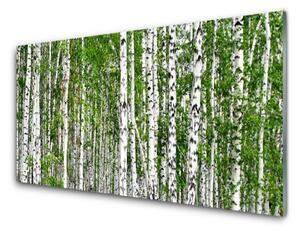 Tablouri acrilice Birch Forest Copaci Natura Verde Alb