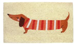 Covoraș de intrare din fibre de nucă de cocos 43x73 cm Sausage Dog – Rex London