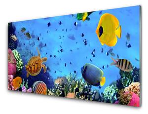 Tablou pe sticla Coral Reef subacvatice de pește Natura Albastru Galben Multi