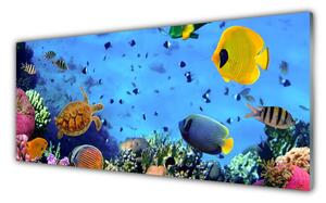 Panou sticla bucatarie Coral Reef subacvatice de pește Natura Albastru Galben Multi