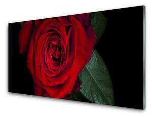 Panou sticla bucatarie Rose Floral Roșu Verde Negru