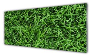 Panou sticla bucatarie Iarbă Lawn Floral Verde