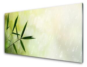 Panou sticla bucatarie Frunze de ploaie Floral Verde