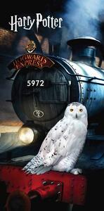 Prosop Harry Potter "Hedwig", 70 x 140 cm