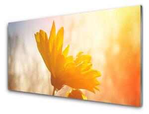 Panou sticla bucatarie Floarea soarelui Floral Galben