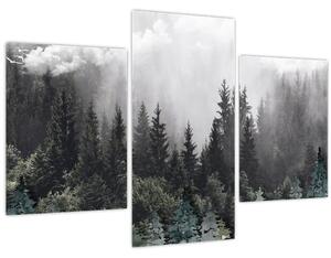 Tablou - Pădure cu elemente ilustrate (90x60 cm)