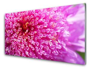 Tablou pe sticla Florale flori roz