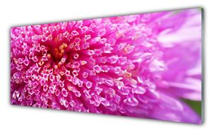 Panou sticla bucatarie Florale flori roz