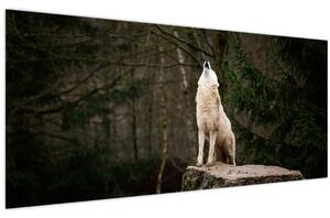 Tablou - Urletul lupului (120x50 cm)