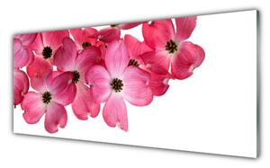 Tablou pe sticla Flori Floral Roz Alb
