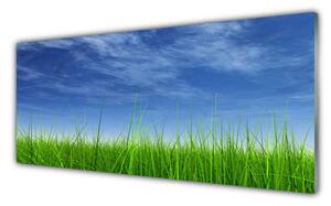 Tablou pe sticla Sky Grass Nature Albastru Verde