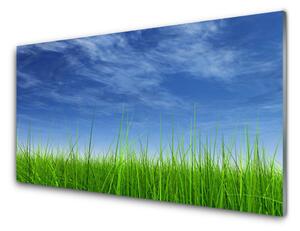 Tablou pe sticla Sky Grass Nature Albastru Verde