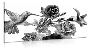 Tablou păsări colibri cu flori alb-negru