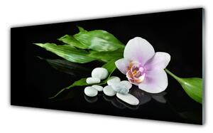 Panou sticla bucatarie Pietrele de flori Frunze Floral Alb Roz Verde Negru