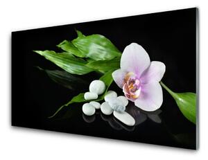 Tablou pe sticla Pietrele de flori Frunze Floral Alb Roz Verde Negru