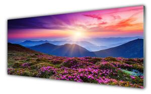 Tablou pe sticla Muntii Meadow Flori Peisaj Violet Roz Albastru Verde