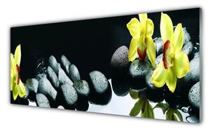 Tablou pe sticla Pietrele florale flori galben negru