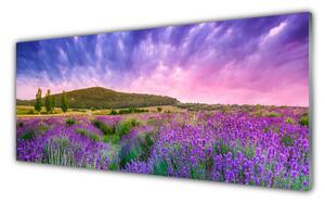Tablou pe sticla Meadow Munții Flori Natura Verde Violet Albastru Roz