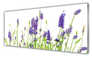 Tablou pe sticla Flori Floral Verde Violet Alb