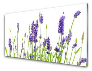 Panou sticla bucatarie Flori Floral Verde Violet Alb