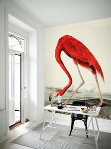 Fototapet Flamingo amuzant
