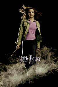 Poster de artă Harry Potter - Hermione Granger, (26.7 x 40 cm)