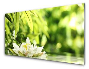 Panou sticla bucatarie Frunze de flori Floral Alb Verde Galben