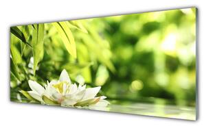 Panou sticla bucatarie Frunze de flori Floral Alb Verde Galben