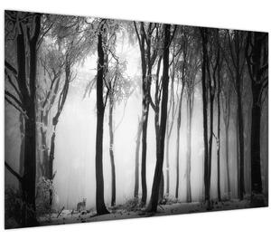 Tablou - Lup în pădurea întunecată (90x60 cm)