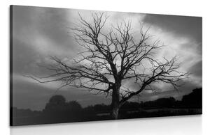 Tablou copac frumos într-o pajiște alb-negru