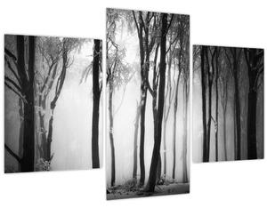 Tablou - Lup în pădurea întunecată (90x60 cm)