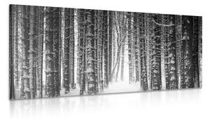 Tablou pădure învăluită cu zăpadă în design alb-negru