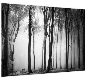 Tablou - Lup în pădurea întunecată (70x50 cm)