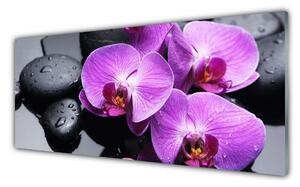 Panou sticla bucatarie Pietre florale flori violet negru