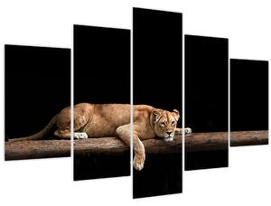 Tablou - Lioness (150x105 cm)