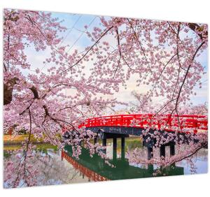 Tablou - Hirosaki, Japonia (70x50 cm)
