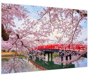 Tablou - Hirosaki, Japonia (90x60 cm)