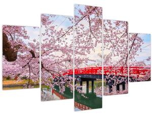 Tablou - Hirosaki, Japonia (150x105 cm)