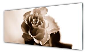 Panou sticla bucatarie Rose Floral Sepia