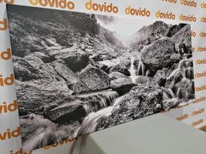 Tablou cascadele alpine în design alb-negru