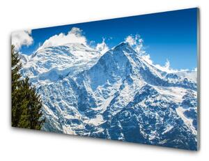 Panou sticla bucatarie Peisaj de munte copac Albastru Alb Verde