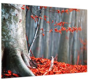 Tablou - Toamna (70x50 cm)