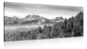 Tablou munții înghețați în design alb-negru