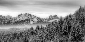 Tablou munții înghețați în design alb-negru
