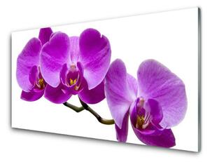 Tablou pe sticla Flori Floral Violet Maro