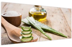 Tablou - Aloe vera (120x50 cm)
